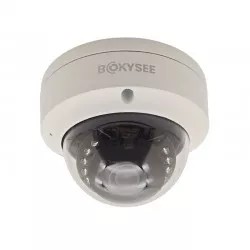 Camara seguridad IP 8MP bokysee Domo Techo