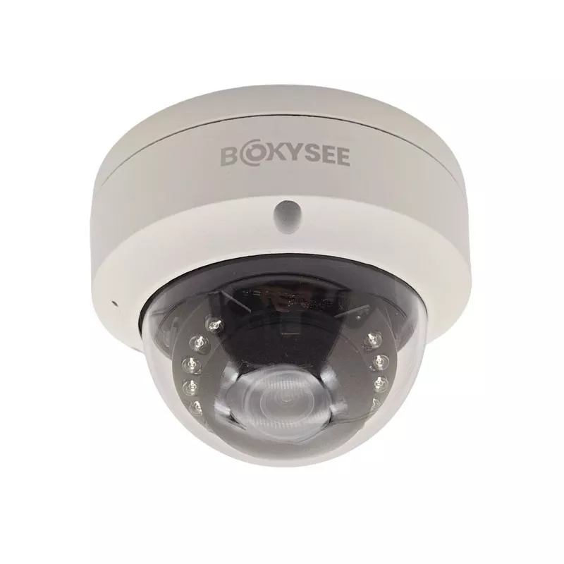 Camara seguridad IP 8MP bokysee Domo Techo